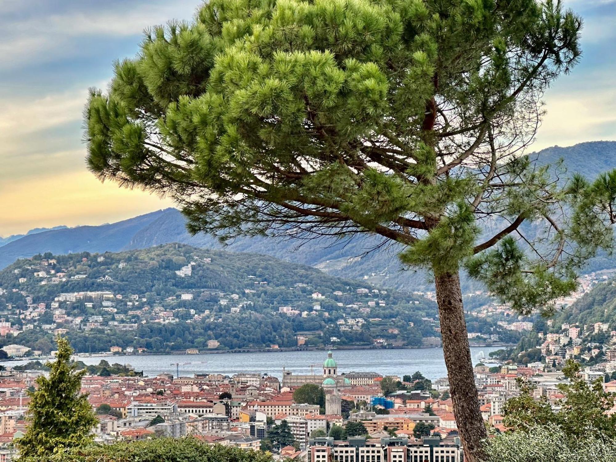 View Appartement *
